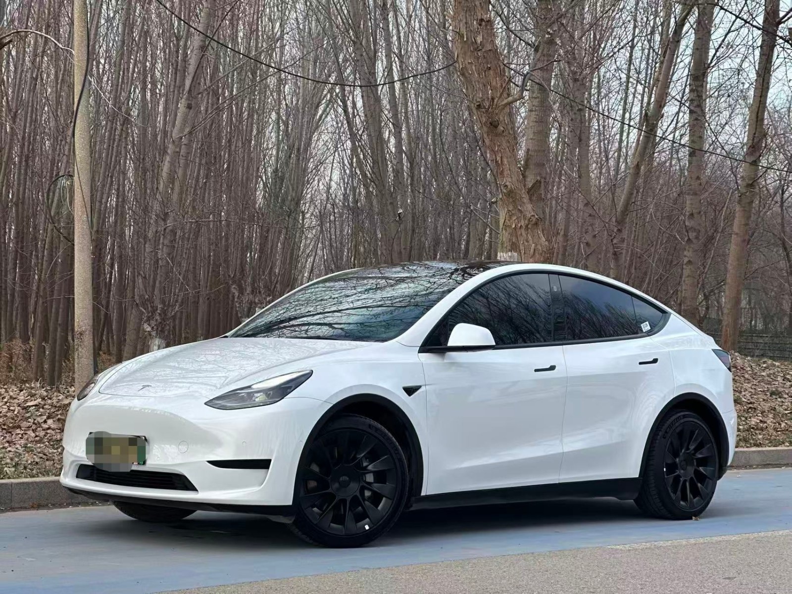停在充电桩旁的一辆特斯拉Model Y,车身线条流畅,车顶没有激光雷达